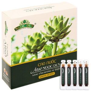 Cao nước Atisô Ngọc Duy không đường giúp bổ gan, lợi mật hộp 10 ống x 10ml - 07/2024 | nhathuocchangpharma.com
