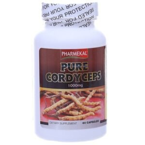 Đông trùng hạ thảo Pure Cordyceps tăng cường sức đề kháng chai 60 viên - 07/2024 | nhathuocchangpharma.com