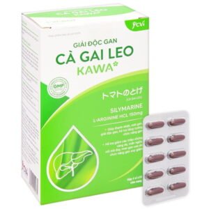 Giải Độc Gan Cà Gai Leo Kawa tăng cường chức năng gan hộp 40 viên - 07/2024 | nhathuocchangpharma.com