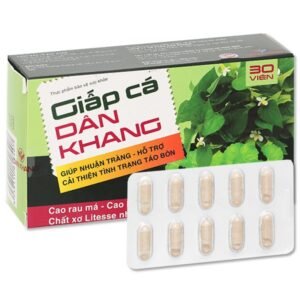 Giấp cá Dân Khang hỗ trợ nhuận tràng, tăng cường tiêu hóa hộp 30 viên - 08/2024 |nhathuocankhang.com