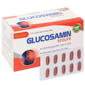 Glucosamin Ecolife hỗ trợ tăng tiết dịch khớp hộp 60 viên - 07/2024 | nhathuocchangpharma.com