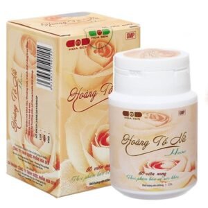 Hoàng Tố Nữ Hose hỗ trợ giảm viêm phụ khoa hộp 60 viên - 07/2024 |nhathuocchangpharma.com