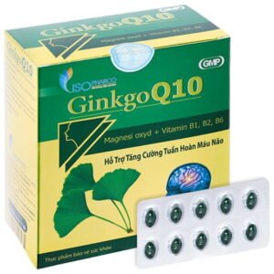 IsoPharco Ginkgo Q10 tăng cường tuần hoàn máu não hộp 100 viên - 07/2024 | nhathuocchangpharma.com